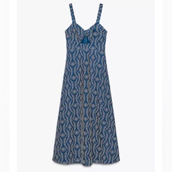 Zara Rubberized Openwork Embroidery Midi Dress - Picture 7 of 9